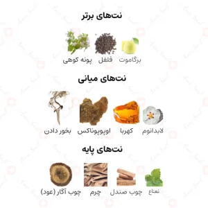 ادکلن مردانه امواج مملکت العود