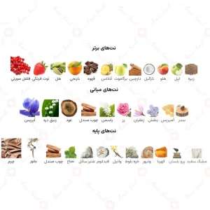 ادکلن یونیسکس انا و انت اصدف 