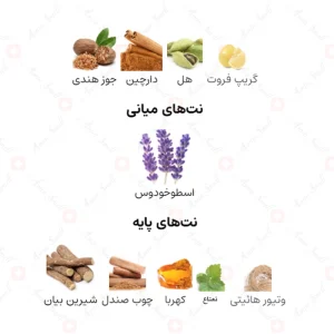 ادکلن مردانه غلا زاید سیلور ارض الخلیج