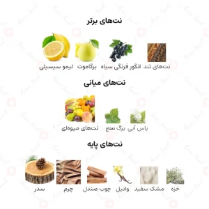 ادکلن یونیسکس اسرار ارض الخلیج