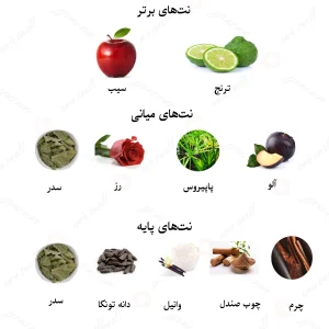ادکلن مردانه لالیک فور بنتلی بلک کریستال