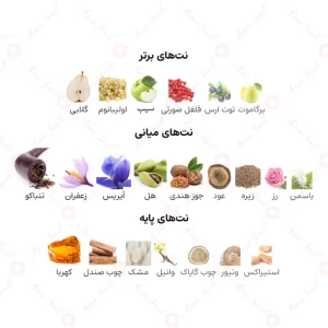 ادکلن مردانه بارق ارض الزعفران