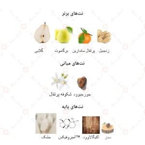 ادکلن یونیسکس انجلیک رژ جانوین