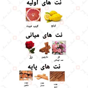 ادکلن زنانه دیوا روما سابلایم