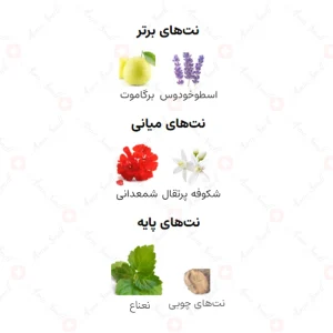 ادکلن مردانه دبی نایتز میدنایت ارماف