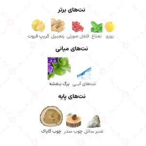 ادکلن یونیسکس امبرا دبی نایتز آرماف