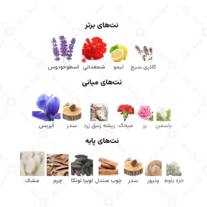 ادکلن مردانه براون دانهیل