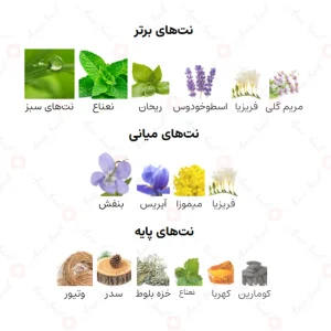 ادکلن مردانه فرش دانهیل