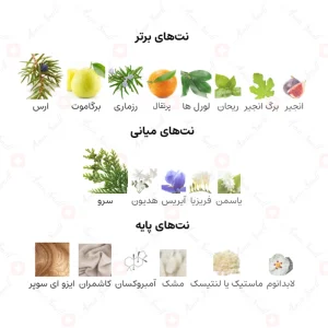 ادکلن یونیسکس اسنتریک مولکول 06 فرگرانس ورد