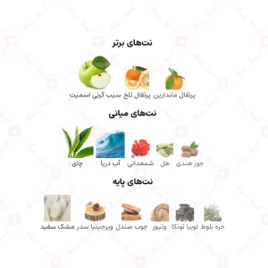 ادکلن مردانه سیلور سنت اینتنس فرگرانس ورد