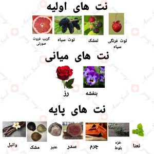 ادکلن مردانه گریت اونو سابلایم