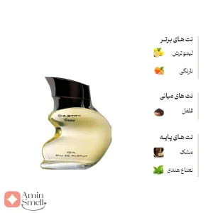 ادکلن مردانه چستیتی رصاصی