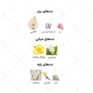 ادکلن زنانه اینفینیتی گلد ارماف