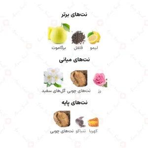 ادکلن مردانه اینفینیتی سیلور آرماف