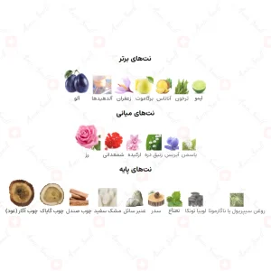 ادکلن زنانه اینتنس گلد پور فم فرگرانس ورد