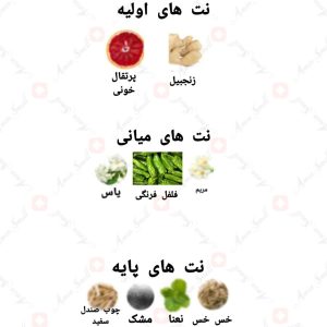 ادکلن زنانه اینتر رژ سابلایم