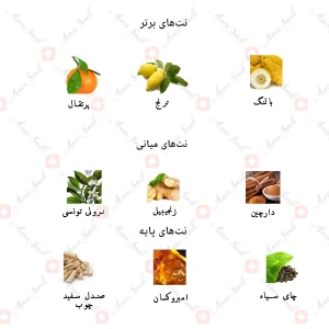 ادکلن مردانه لویی ویتون ایمجنیشن جانوین 