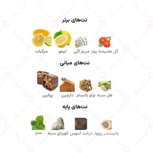 ادکلن زنانه جذاب ارض الخلیج