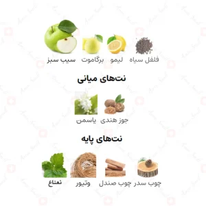 ادکلن مردانه لوکسر من ریو
