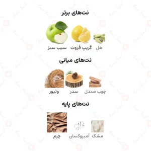 ادکلن مردانه مومنتوم آن لیمیتد بنتلی