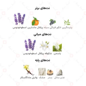 ادکلن زنانه د دالمور 21 ناتان