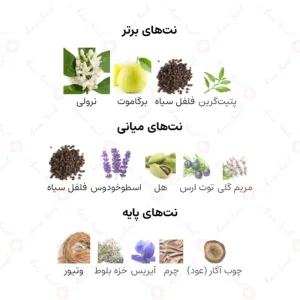 ادکلن مردانه د دالمور پورت وود ناتان