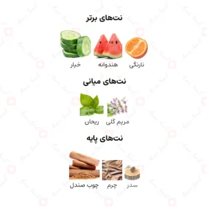 ادکلن مردانه ناو اینتنس ریو