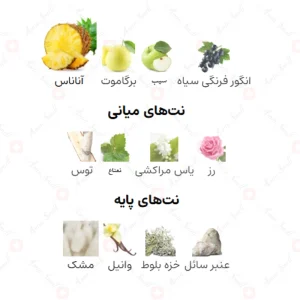 ادکلن مردانه ناو ریو