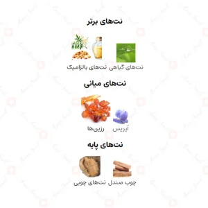ادکلن یونیسکس ناو رژ ریو 