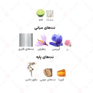 ادکلن یونیسکس آمبر دور آرماف