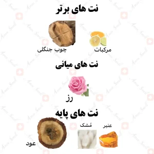 ادکلن یونیسکس دهن العود الصفوه رصاصی