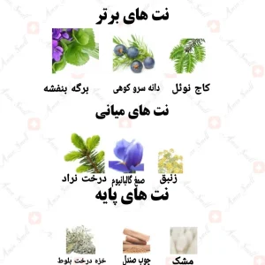 ادکلن مردانه اغراء رصاصی