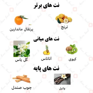 ادکلن زنانه ایموشن رصاصی
