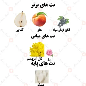 ادکلن زنانه انطباع رصاصی
