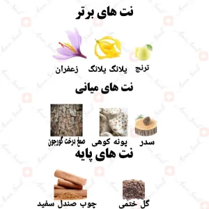 ادکلن زنانه اسرا رصاصی