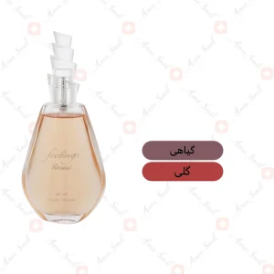 ادکلن زنانه فلینگز رصاصی