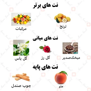 ادکلن زنانه اینوسنس رصاصی