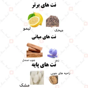 ادکلن یونیسکس اینشراخ گلد رصاصی
