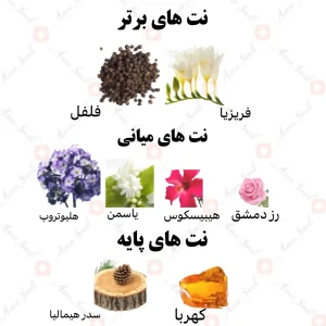 ادکلن زنانه اینستیکتز رصاصی