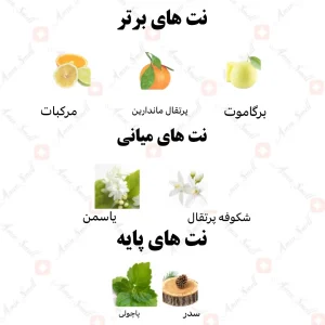 ادکلن زنانه جول رصاصی