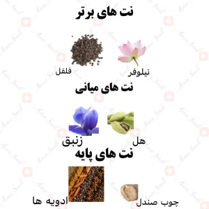 ادکلن مردانه نالج رصاصی