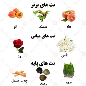ادکلن زنانه رومنس رصاصی