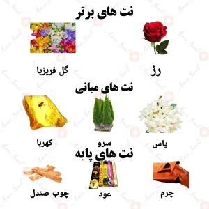 ادکلن مردانه شهره پور هوم رصاصی