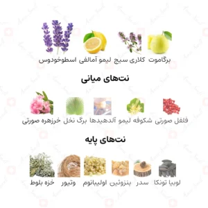 ادکلن مردانه رواد مملکت العود