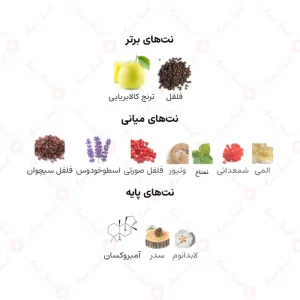 ادکلن مردانه شیخ الرجال ارض الخلیج