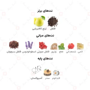 ادکلن مردانه ارض الخلیج شیخ زاید خصوصی