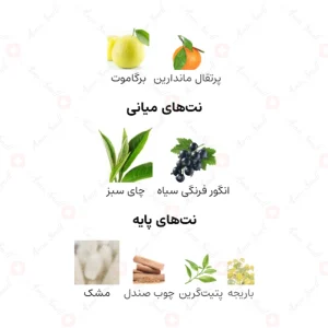 ادکلن مردانه شهره ارض الخلیج