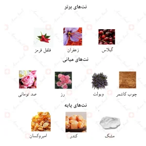 ادکلن زنانه ادونچر ارمنا جانوین‌