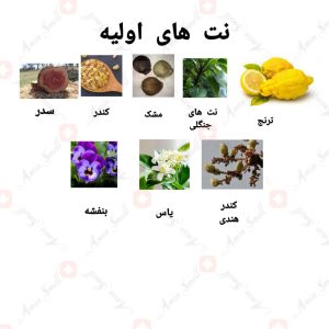 ادکلن یونیسکس وردانت سابلیم 