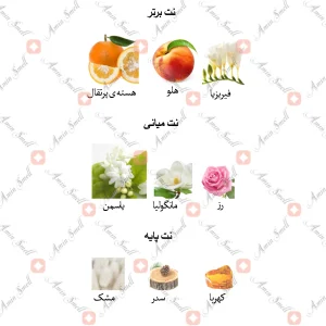 ادکلن زنانه هاری آپ جانوین
